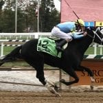 Md Million: New sires hoping for fast starts