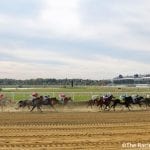 Delaware Park Handicappers’ Notebook 2021 Vol. 17