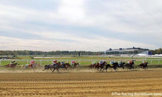 Laurel Park gets green light to resume racing