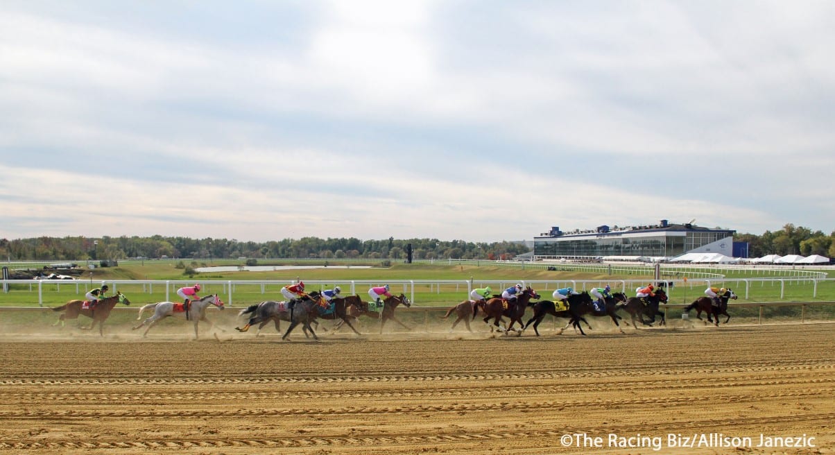 laurel far turn
