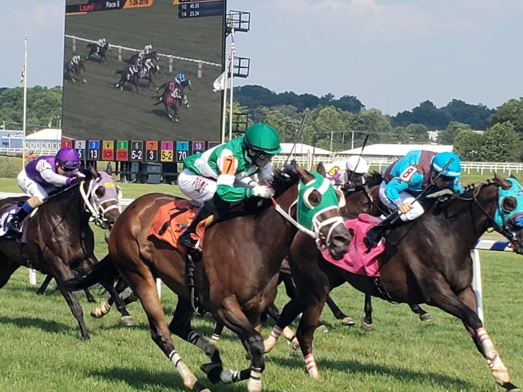 Love You Much (#8) just lost to Eastern Bay in a Laurel Park allowance. Photo by The Racing Biz.