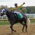 Tiz the Law leads pre-Belmont NTRA Top Thoroughbred Poll