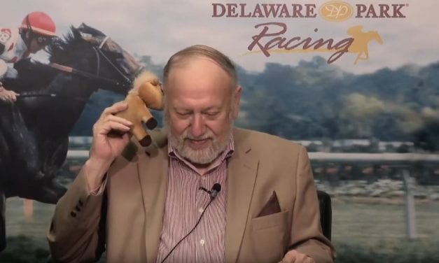 EXCLUSIVE: We interview Bungee the handicapping horse