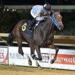 Weekend: Angle of Attack slashes to Casey upset