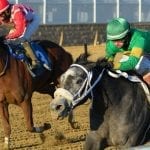 G1 winner Nucky slated to come East for Heft S.
