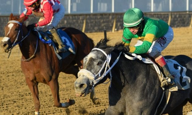 Cofactor, Newstome score in Laurel juvenile stakes