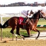 Penguin Power installed as solid A Huevo favorite