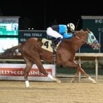 Laurel stakes to be qualifiers for Santa Anita G1 events