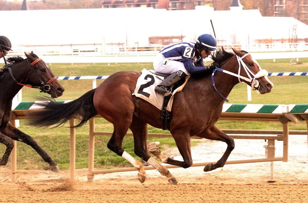 Monday Morning Qb seeking score in Md. Juvenile Futurity