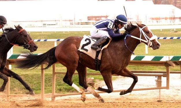 Monday Morning Qb seeking score in Md. Juvenile Futurity