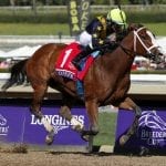 Laurel route sends Md-bred Sharing to Breeders’ Cup win