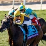 Undefeated Arrifana posts fourth straight win