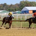 Piassek: Criticizing PETA won’t save horses, or racing