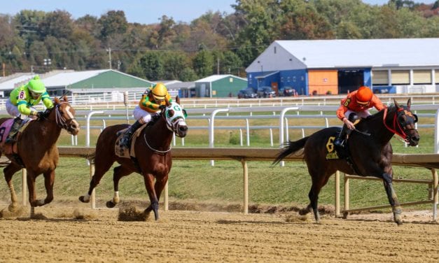 MD Racing Commission clarifies Lasix rule