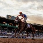 Minit to Stardom cruises to easy Laurel allowance win