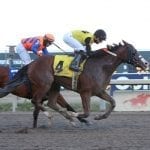 Cofactor guns for fourth straight in Gin Talking