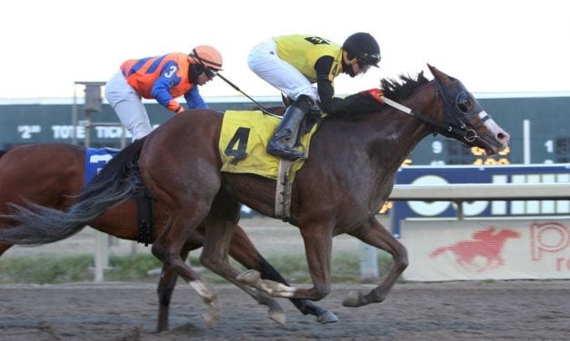 G1 winner Nucky slated to come East for Heft S.