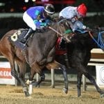 Boundtobebad looks for 4-bagger in Casey Memorial