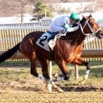 Lewisfield, Anna’s Bandit score in Laurel stakes