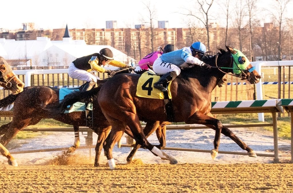 Lewisfield, Anna’s Bandit score in Laurel stakes