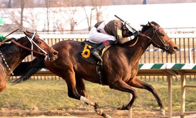 McCarthy scores stakes hat trick among five Laurel wins