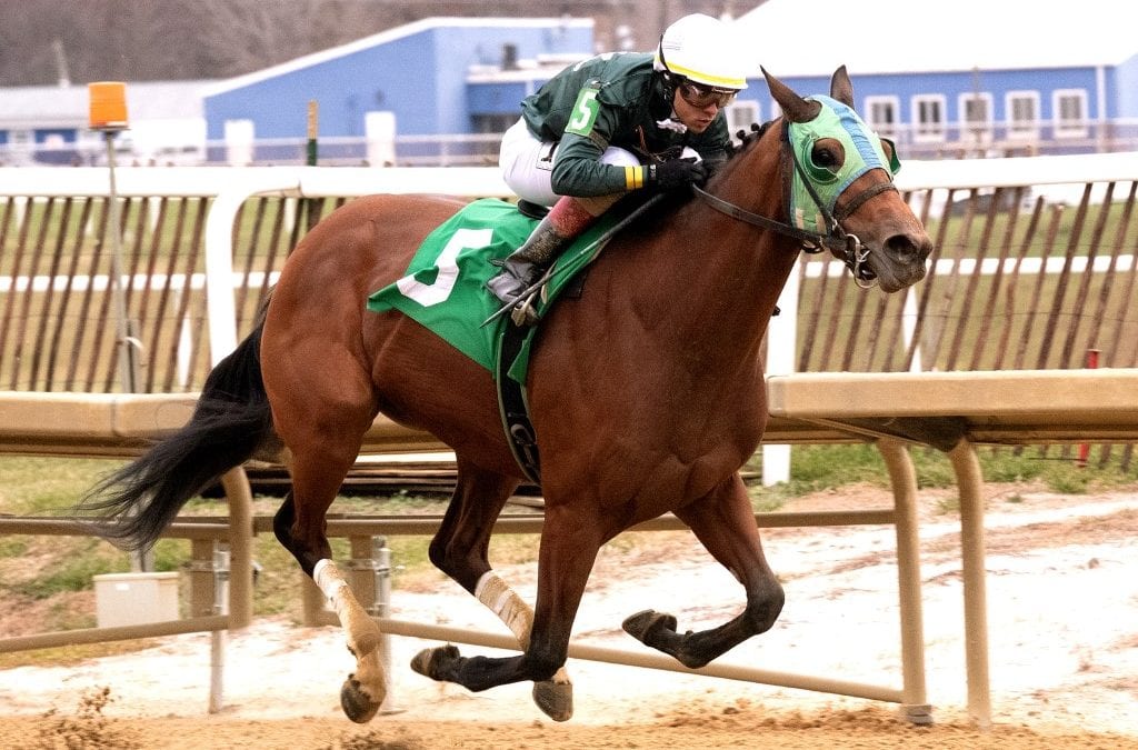 Maryland Spectacular and PA-breds: The week in social media