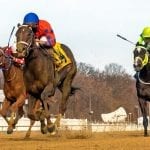 Vekoma heads up NTRA Top Thoroughbred Poll