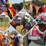 Multiple graded winner Late Night Pow Wow retired
