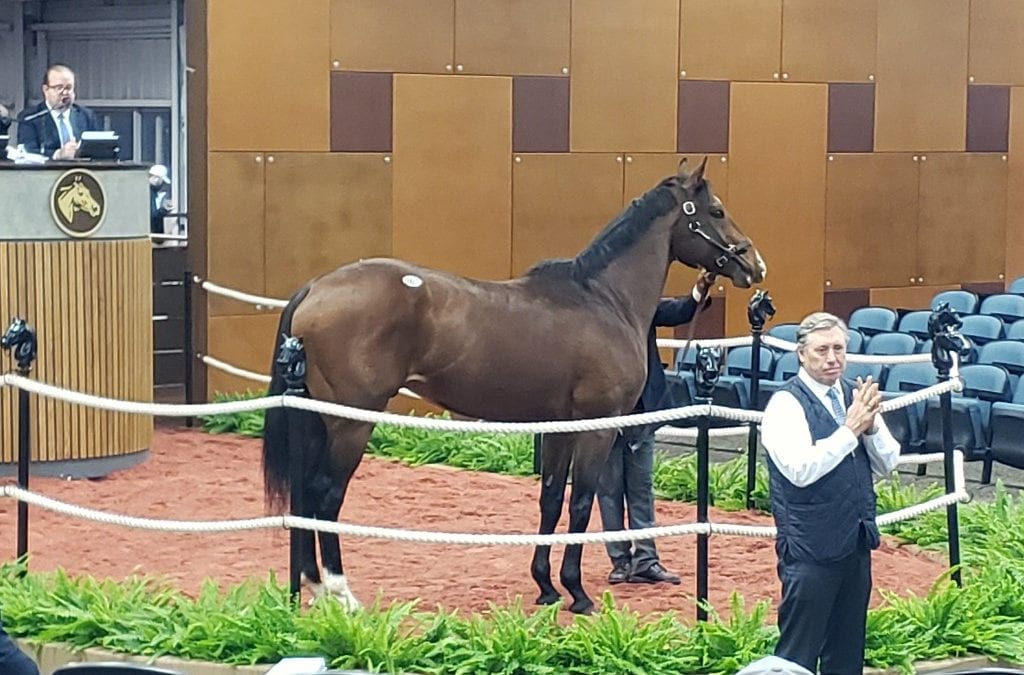 Fasig-Tipton: Beneath the top-line numbers