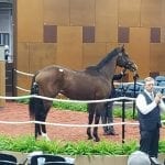 Contest asks fans to pick top Eclipse Award winners