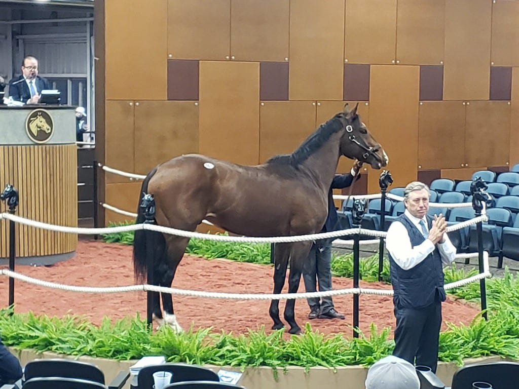 Fasig-Tipton