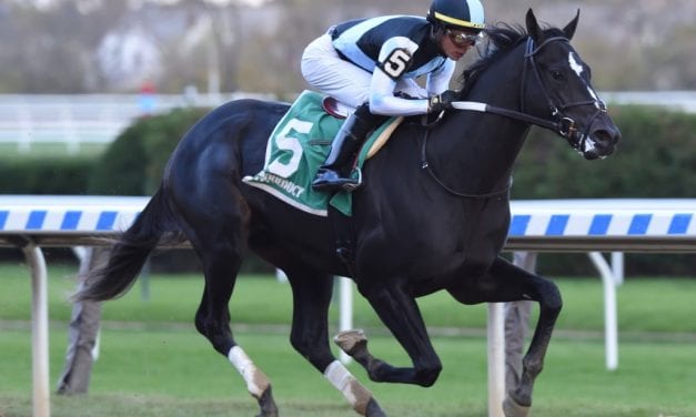 Coronavirus, Florida Derby, more: The week in social media