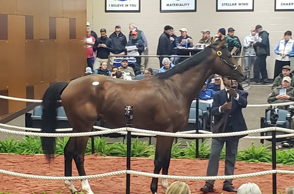 Maryland Juvenile Futurity proves productive – in sales ring