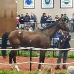 Horsemen: Racing protesters lack knowledge, common sense