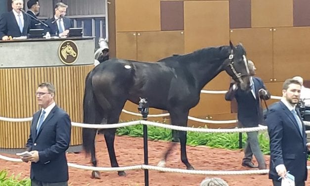 Besecker dispersal powers boffo Fasig-Tipton sale