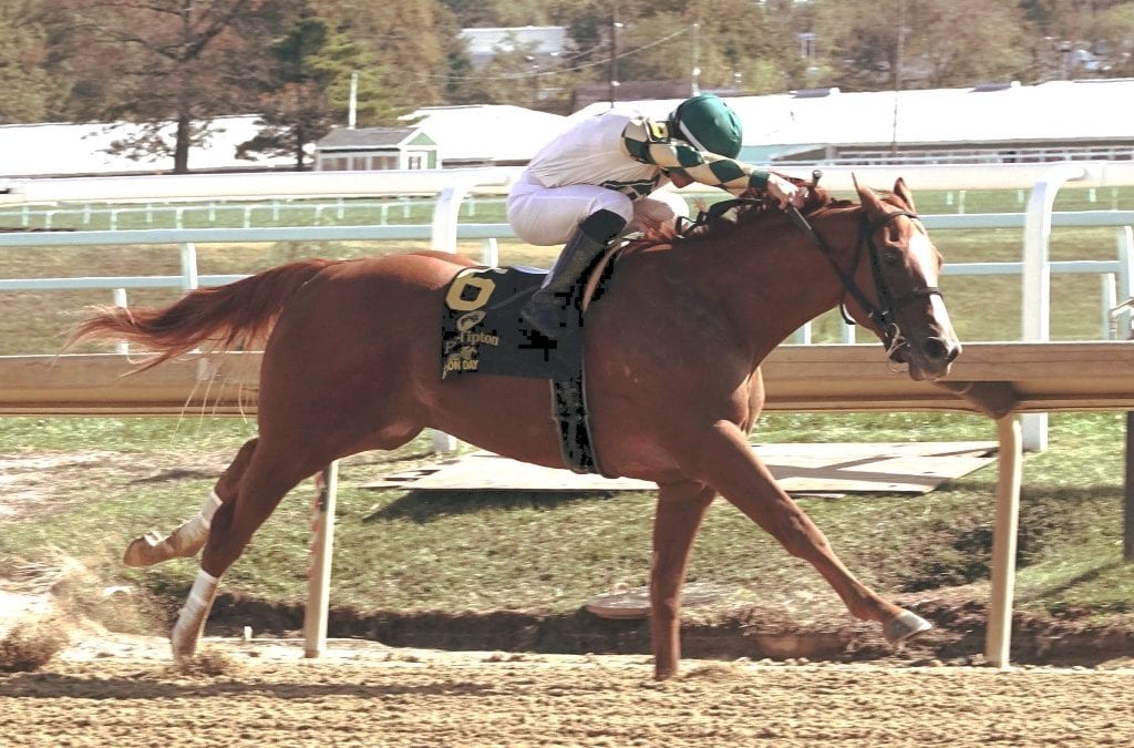 Parade of Colors helps breeder Williamson march on