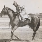 Maryland Horse Industry Day set for Jan. 22
