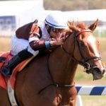 Trainer Gonzalez pointing three to Preakness weekend stakes