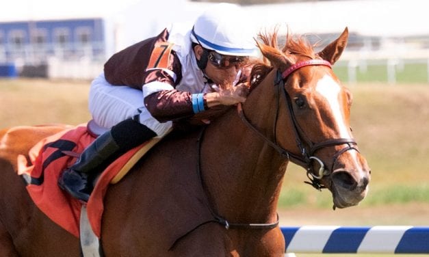 Sharing named Maryland-bred Horse of the year