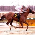 Best of 2019: First time jockey winners