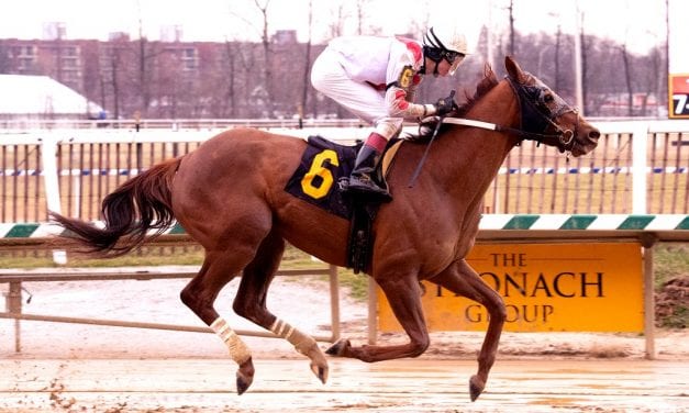 Maryland-bred Torch of Truth set for bigger task