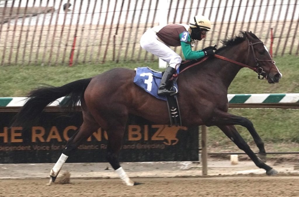 “Cinderella” horse Alwaysmining scores in Jennings