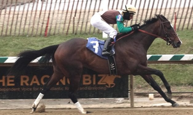 “Cinderella” horse Alwaysmining scores in Jennings