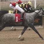 EHV-1 places 4 Laurel Park barns under quarantine