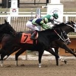 Bricks and Mortar earns Horse of the Year laurels
