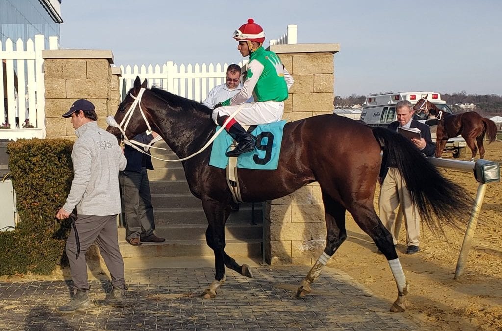 Monday Morning Qb may seek Withers score
