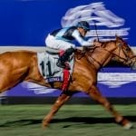 Friday’s Stronach 5 canceled