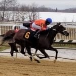 January provides Harrison, Jones first stakes wins