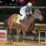 MD-bred stakes winner, flashy debut, and more: The week in social media
