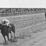 Mucho Gusto tops first 2020 NTRA Top Thoroughbred Poll